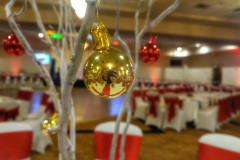 20161217_1706342