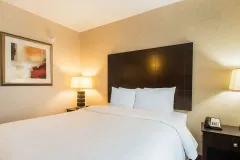 Hotel Rooms