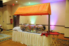 Mehendi Parties